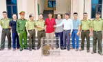 Bắt được cá thể khỉ vàng quý hiếm, người dân giao nộp cho kiểm lâm