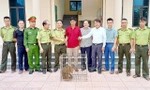 Bắt được cá thể khỉ vàng quý hiếm, người dân giao nộp cho kiểm lâm