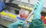 TPHCM truy tìm biến thể mới của Omicron, cảnh báo lây lan dịp lễ Tết