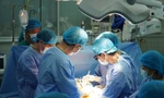 Số người đăng ký hiến tạng tăng kỷ lục