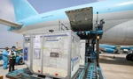 Các đơn hàng vắc xin với số lượng lớn liên tiếp được chuyển về Việt Nam phục vụ chống dịch