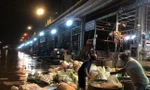 Khi nào các chợ đầu mối ở TPHCM được hoạt động trở lại?