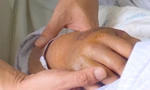 Bị rắn độc tấn công, bệnh nhi nguy kịch vì đắp thuốc thầy lang