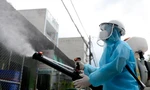 Gần 40.000 ca nhập viện và 36 người tử vong vì sốt xuất huyết