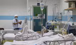 Hai người từ châu Phi về TPHCM bị hôn mê, suy thận vì sốt rét ác tính