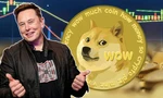 Elon Musk nhiều lần đăng tweet về đồng Dogecoin