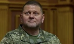 Tướng Valery Zaluzhnyi. (Ảnh: Reuters)