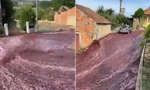 Dòng rượu vang đỏ đổ tràn trên con đường ở ngôi làng của Bồ Đào Nha. (ảnh từ clip)