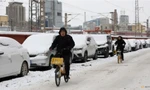 Tuyết phủ trắng những chiếc xe đậu dọc một con đường ở thủ đô Bắc Kinh, Trung Quốc, ngày 15/12. (Ảnh: Reuters)