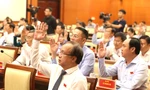 Chất vấn Chủ tịch TPHCM và một số giám đốc sở