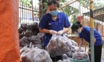 Bạn trẻ TPHCM chung tay tiêu thụ khoai lang Vĩnh Long, Đồng Tháp