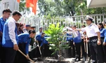 Trồng cây bàng vuông từ Trường Sa tại trụ sở Thành Đoàn TPHCM