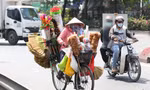 Quay quắt mưu sinh dưới trời nắng nóng như đổ lửa ở TPHCM 