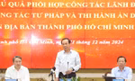 Khối lượng công việc 'khổng lồ' trong giai đoạn thi hành án vụ Vạn Thịnh Phát