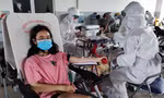 Bạn trẻ, người nước ngoài ở TPHCM chia sẻ giọt máu hồng trong chương trình Chủ nhật Đỏ