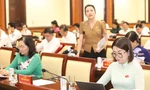 Sử dụng trí tuệ nhân tạo thẩm tra dự thảo nghị quyết kỳ họp HĐND TPHCM