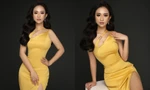 'Hoa hậu Thế giới Người Việt tại Pháp 2019' dự thi Miss Grand Vietnam 2022