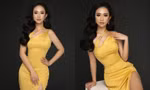 'Hoa hậu Thế giới Người Việt tại Pháp 2019' dự thi Miss Grand Vietnam 2022
