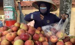 ‘Bóc giá’ trái cây Trung Quốc tại chợ đầu mối