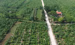 Hà Nội: Rút gọn quy trình về đất đai và không thu phí để xóa nhà tạm, nhà dột nát