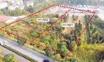 Hà Nội: Giao hơn 10.000m2 đất để thực hiện dự án nhà ở biệt thự
