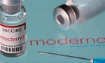 Bộ Y tế gia hạn dùng của vắc xin Moderna