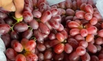 Sự thật 'ngã ngửa' về loại nho ruby không hạt giá rẻ bán đầy chợ