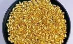 'Sốt' hạt gạo vàng giá 1 triệu đồng/hạt