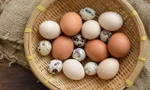 Trứng gà tăng giá gấp đôi vẫn 'cháy' hàng