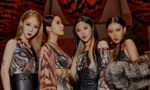 RBW Entertainment đã phủ nhận tin đồn MAMAMOO tan rã, nhưng netizens lại phản ứng tiêu cực
