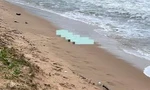Công an điều tra vụ thi thể nữ giới không nguyên vẹn ở bờ biển Quảng Nam