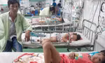 Quảng Nam: Bốn mẹ con bị đàn ong vò vẽ đốt phải nhập viện 
