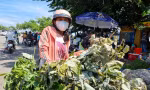 Người Quảng Nam đi chợ mua 'lá mùng 5' dịp Tết Đoan Ngọ