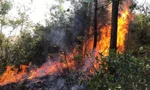 Nắng nóng khiến ngọn lửa lan nhanh và khó khống chế.