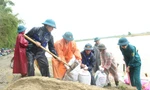 Quảng Nam: Cả làng đội mưa vá bờ sông sạt lở