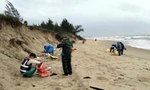 7 tấn dầu vón cục trôi dạt vào bờ biển Quảng Nam