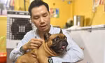 Thú chơi cún cưng 'hái ra tiền' của chàng trai 9x Hà thành