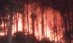 Rừng thông hàng chục năm tuổi bốc cháy dữ dội cạnh lăng vua Khải Định