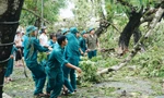 Tuổi trẻ TT-Huế tích cực "giải cứu" đường phố tắc nghẽn, giải phóng hàng nghìn cây xanh đổ ngã sau bão.
