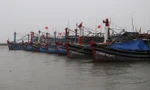 Tỉnh TT-Huế đã kêu gọi 1.915 phương tiện/10.533 lao động vào tránh trú áp thấp an toàn.