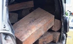 Xe chở gỗ lậu vi vu trên Quốc lộ 1, qua mặt nhiều lực lượng chức năng trước khi bị CSGT TT-Huế chặn bắt