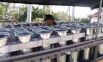 Các dàn pháo hoa mừng Giao thừa Canh Tý 2002 được triển khai tại di tích cầu Ngói Thanh Toàn.