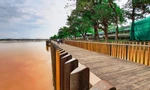 Cây cầu gỗ lim siêu sang tại Huế sau lũ.