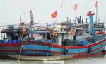 Hơn 170 phương tiện đánh bắt thủy, hải sản trên biển, với trên 1.000 lao động nghề cá thuộc địa bàn TT-Huế đã trở về nơi trú tránh bão an toàn.