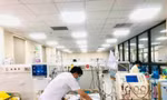 BS kiểm tra cho bệnh nhân bị sốt mò điều trị tại Bệnh viện Đa khoa tỉnh Hòa Bình. Ảnh: BV cung cấp
