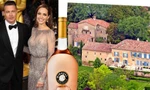 Hết tranh chấp quyền nuôi con, Brad Pitt và Angelina Jolie lại kiện nhau vì tài sản chung