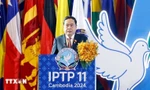 Chủ tịch Quốc hội dự và phát biểu tại Phiên họp toàn thể lần thứ 11 của IPTP