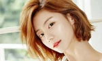 Vợ kém 13 tuổi của Bae Yong Joon giải nghệ