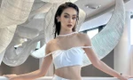 Công sức của chị đẹp MLee đổ sông, đổ biển