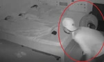 Cảnh tượng thót tim khi người phụ nữ xem lại camera phòng ngủ